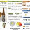 Bière artisanale BIO PALE ALE blonde "Bulle des Champs" 75cl – Image 3