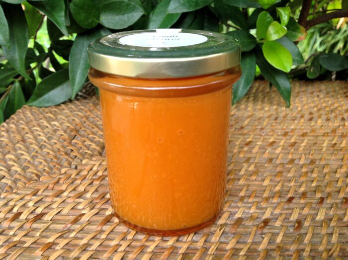 Coulis Abricot – Image 2
