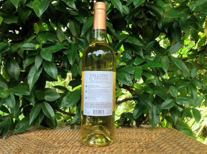 Côtes de Gascogne IGP - Vallons de Gascogne Blanc Moelleux – Image 2
